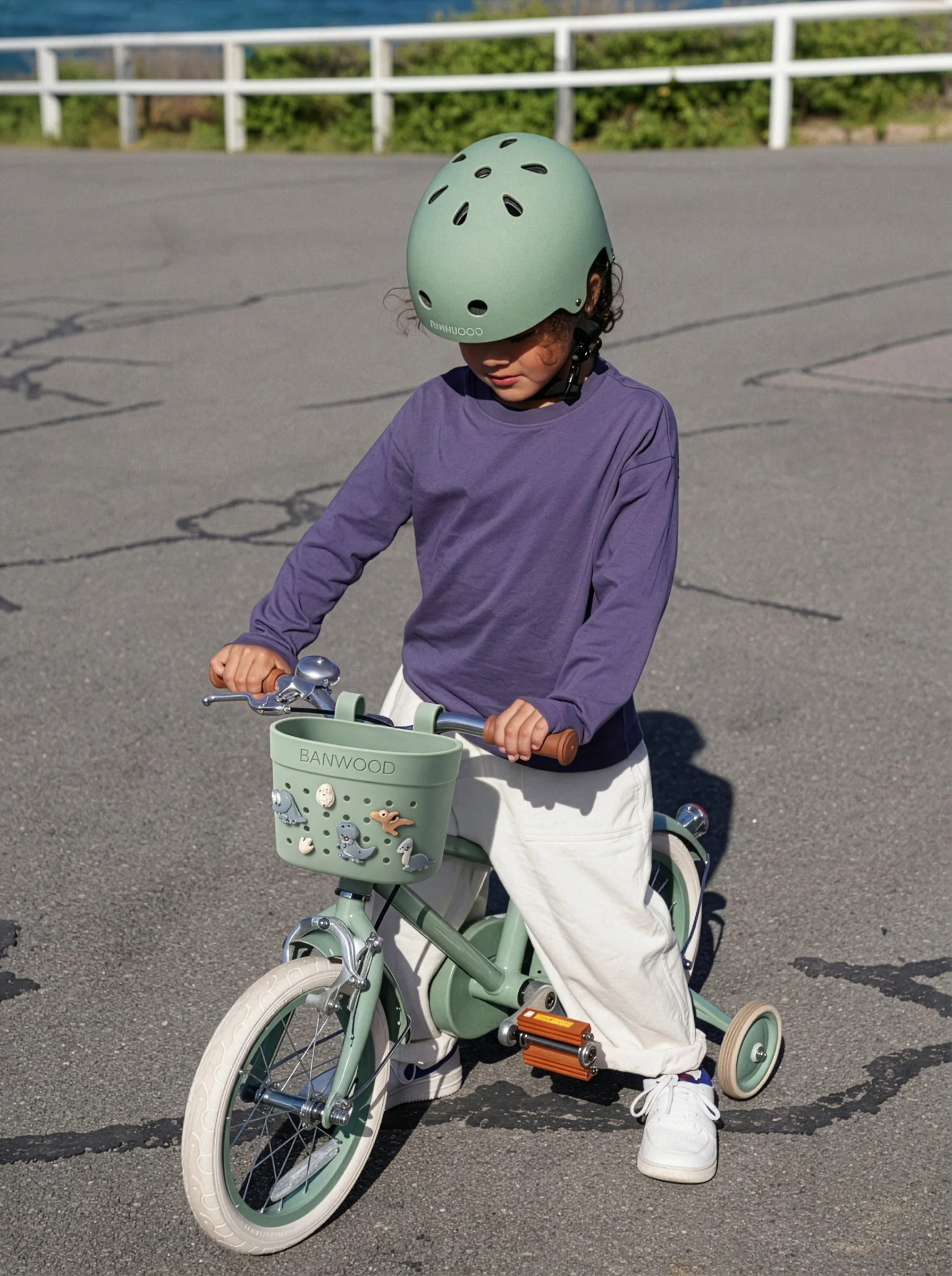Banwood Pins voor Fietsmandje | Dino - Image 7