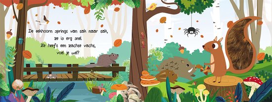De Lantaarn Voorleesboek Kijk en voel | Bosdieren - Image 3