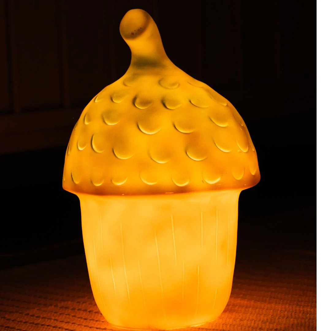Egmont Toys Nachtlamp Acorn Terra - Image 2