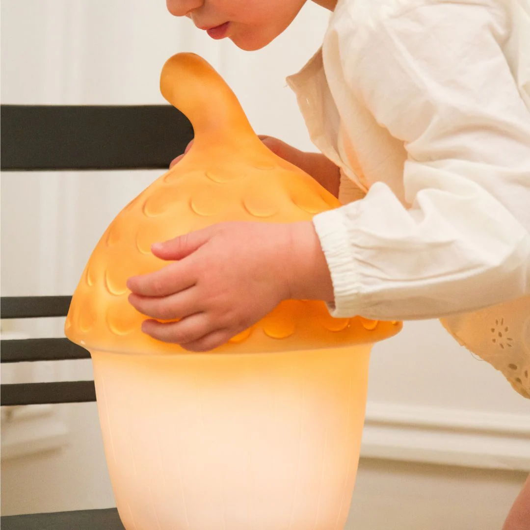 Egmont Toys Nachtlamp Acorn Terra - Image 8