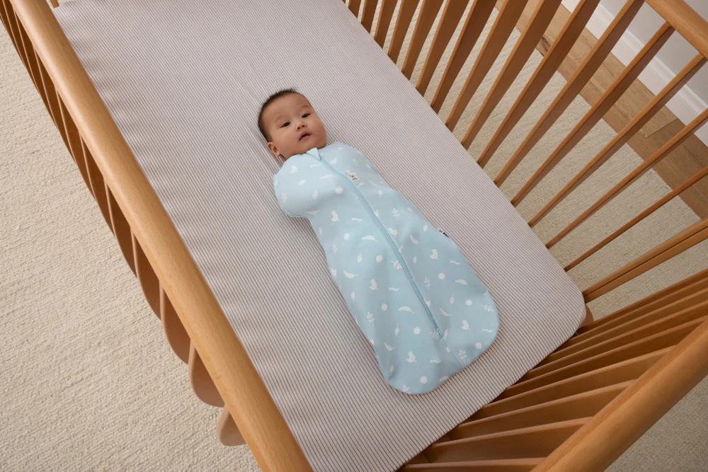 Ergopouch Cocoon Inbaker Slaapzak 0-3M 62cm Tog 2.5 | Ducks - Image 6