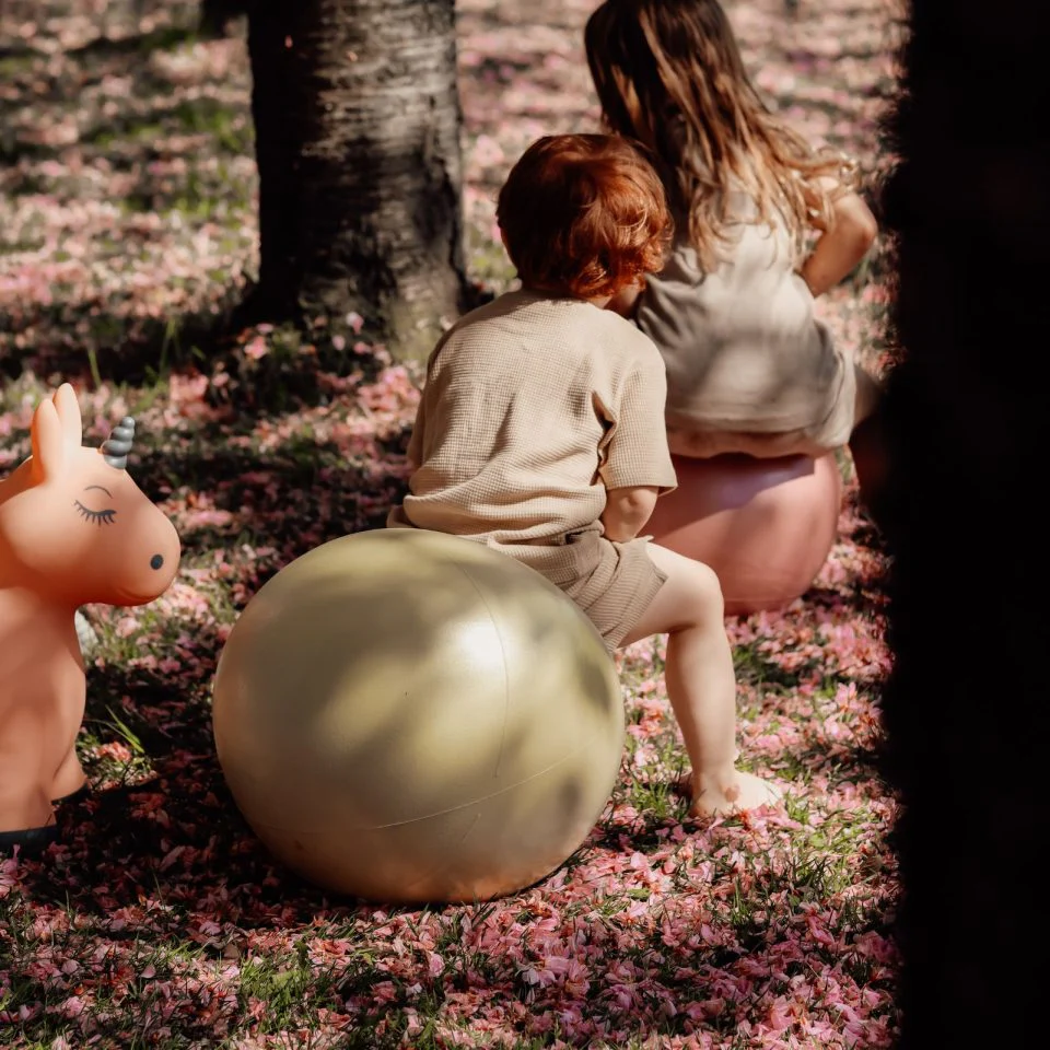 * Find That Hippo Stuiterbal Hopper Ball | Old Gold - Image 3