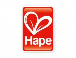 * Hape Houten hijskraan - Image 4
