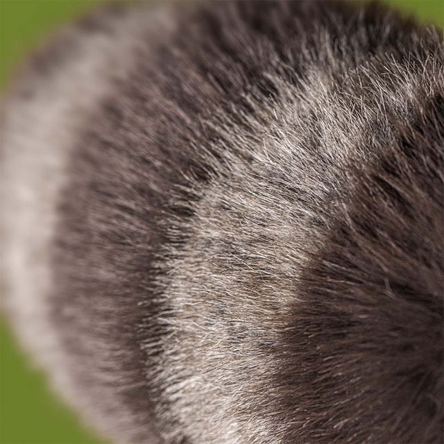 Jellycat Knuffel | Trixiwoo Raccoon - Image 2