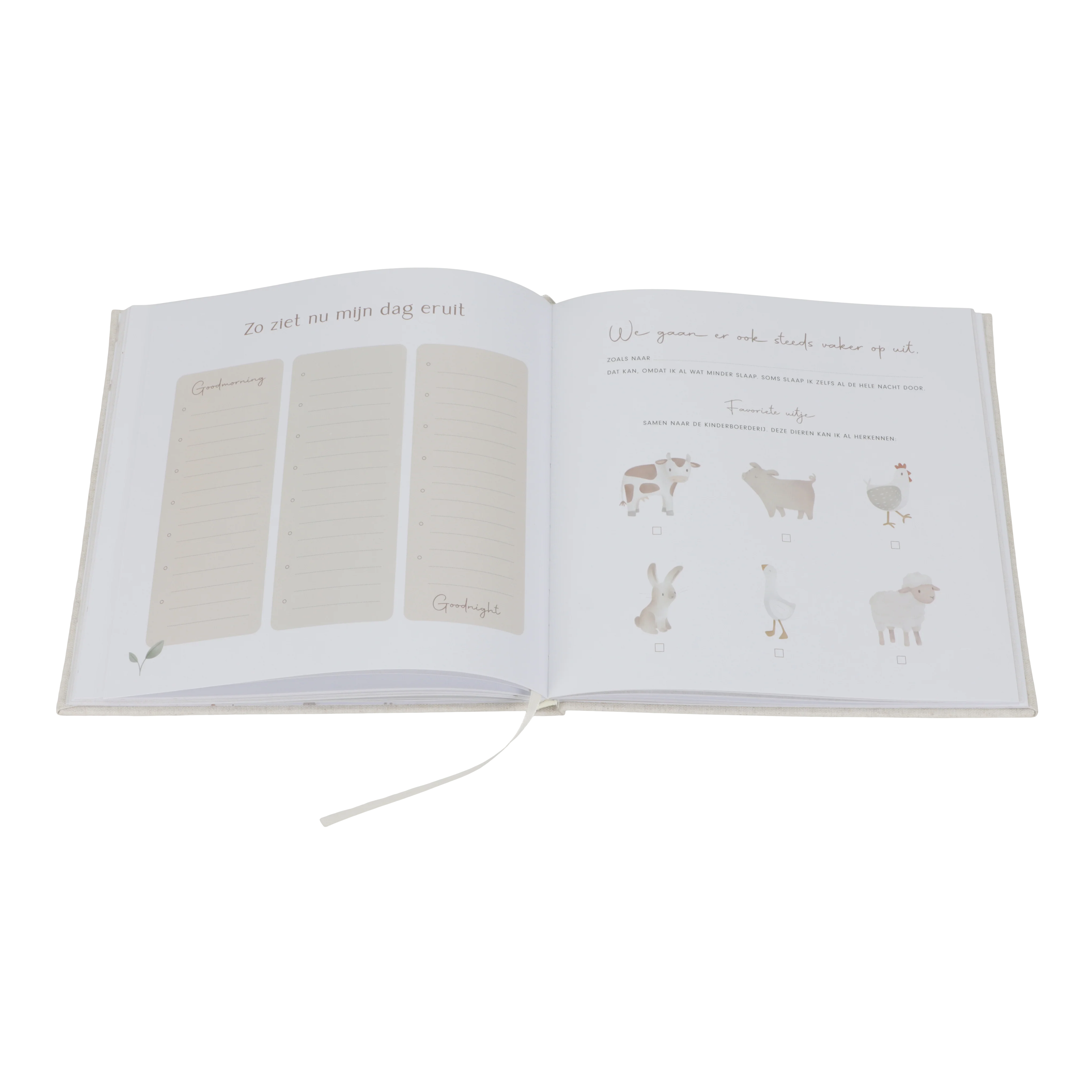 Little Dutch Babyboek | Mijn Eerste Jaar - Image 3