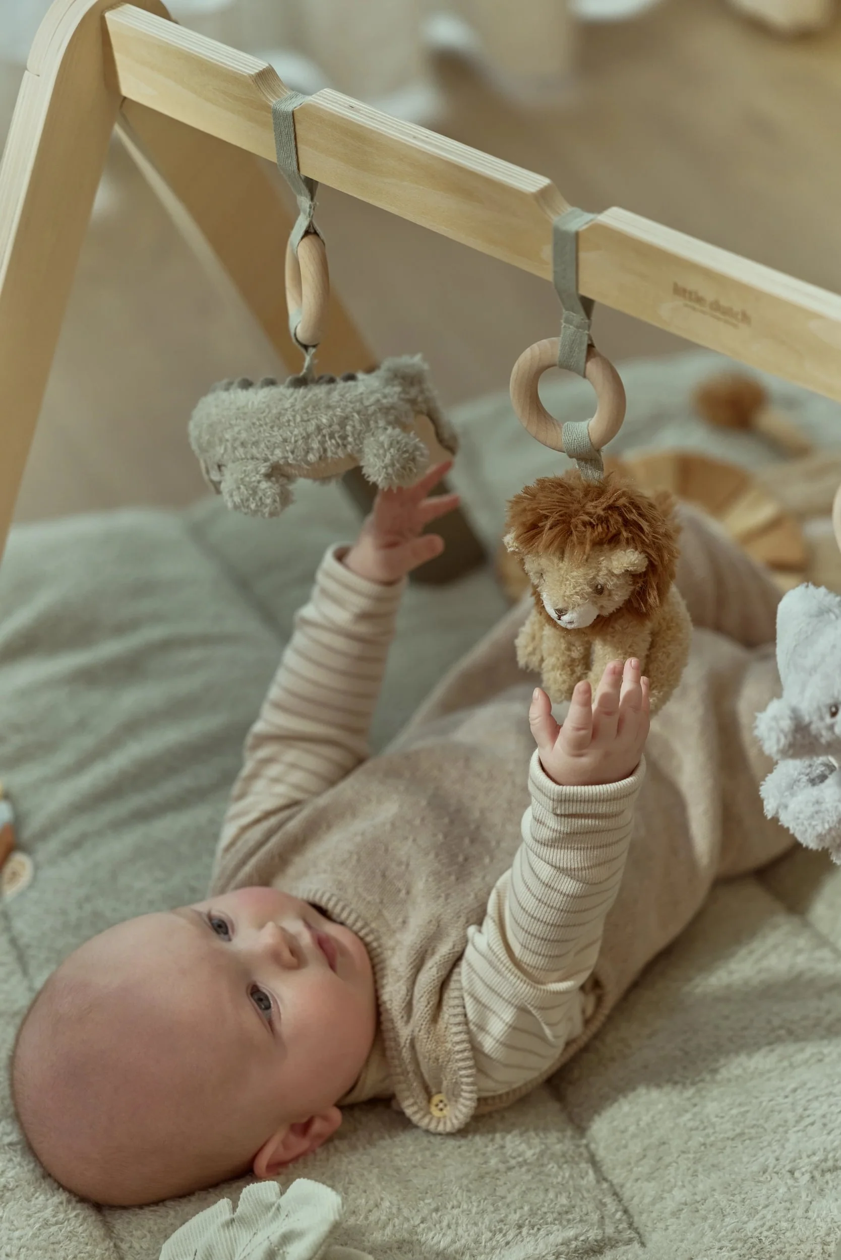 Little Dutch Babygym Safari Friends - Image 4