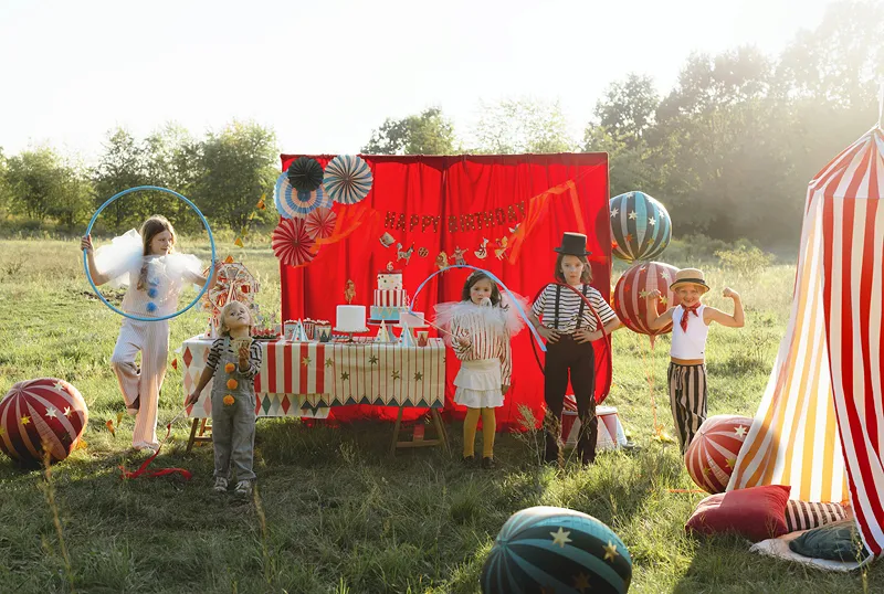 Party Deco Decoratieve Rosetten | Circus - Image 3