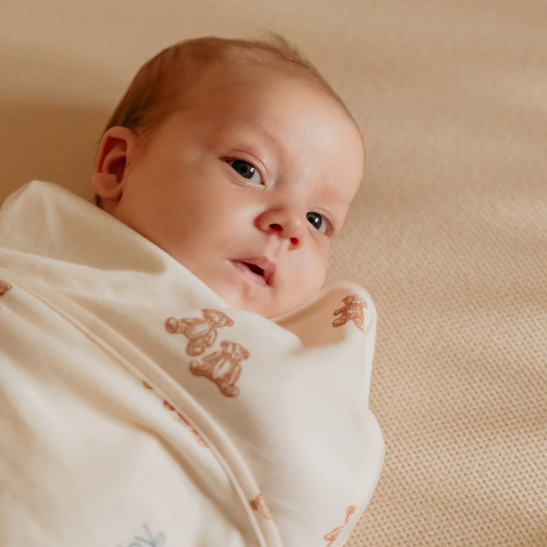 Puckababy Inbakerslaapzak The Original Piep 0/3 M - Cotton | Teddy Bears - Image 5