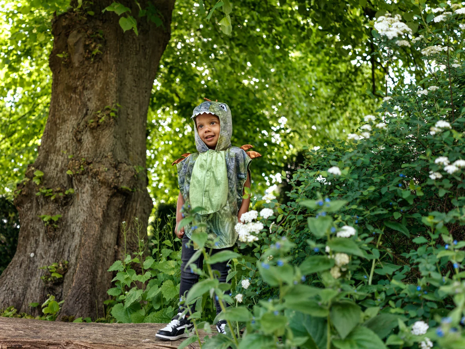 Souza T-Rex Cape | 2 Jaar - Image 3