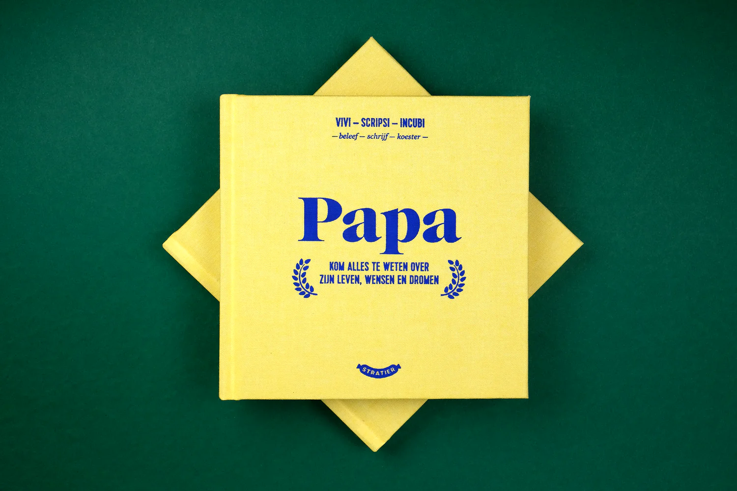 * Stratier invulboek | Papa - Image 4