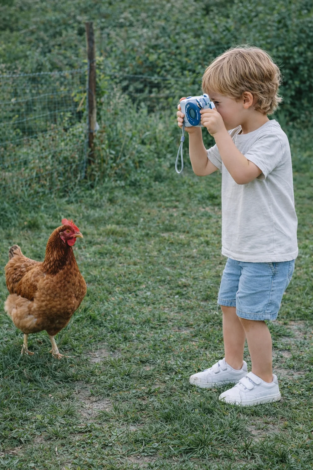 The Zoofamily Camera Zoo Print | Wasbeer - Image 5